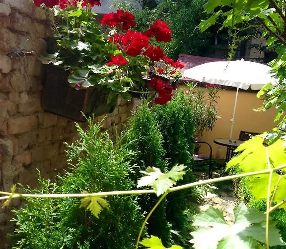 Guest Boutique Várna