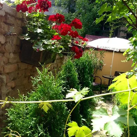 Guest Boutique Warna